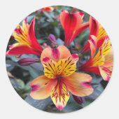 Sticker Rond Colors de Summer (Devant)