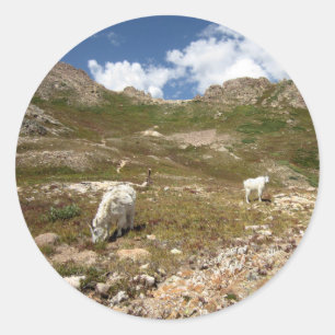 Sticker Rond Columbine Lake Mountain Chèvres - Colorado