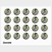 Sticker Rond Colvert B12 (Feuille)