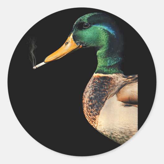 Sticker Rond Colvert fumant une cigarette mème canard colvert d (Devant)