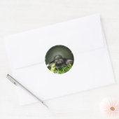 Sticker Rond Commando lent (Enveloppe)