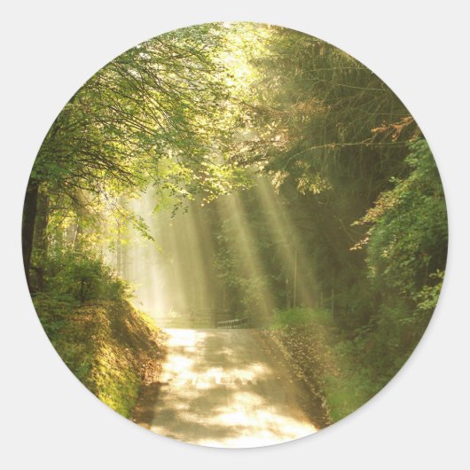 Sticker Rond Comme au ciel, forêt avec poutres de soleil (Devant)