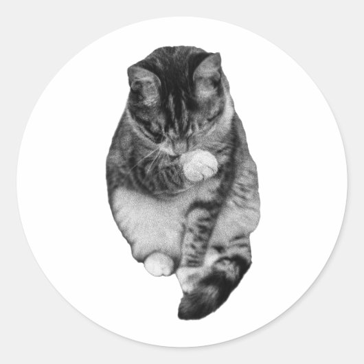 Sticker Rond Compagnon Hush-Tail (Devant)