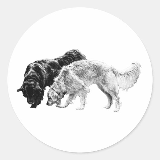 Sticker Rond Compagnons Dusky en ligne (Devant)