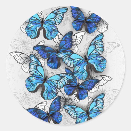Sticker Rond Composition de papillons blancs et bleus (Devant)