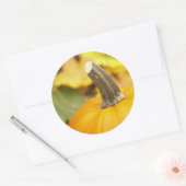 Sticker Rond Conception automne (Enveloppe)