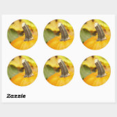 Sticker Rond Conception automne (Feuille)