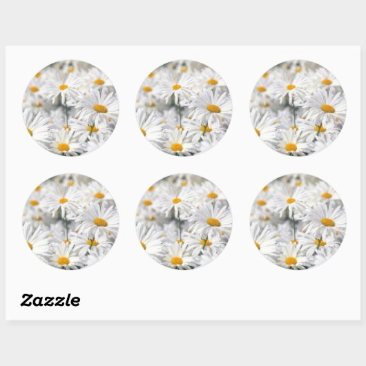 Sticker Rond Conception Daisy (Feuille)