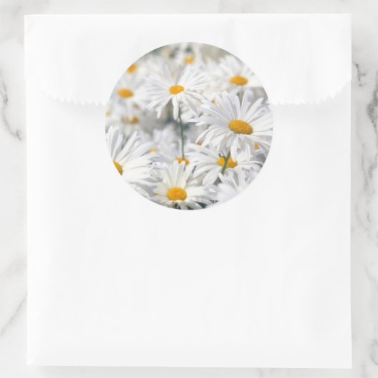 Sticker Rond Conception Daisy (Sac)