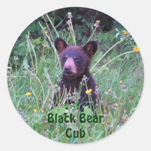 Sticker Rond Conception de l'ours pour les animaux et les anima