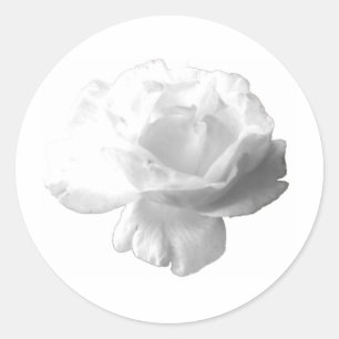 Sticker Rond Conception de rose blanc