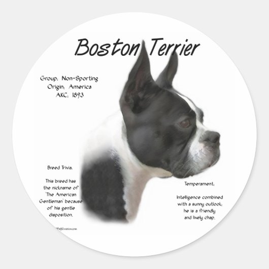 Sticker Rond Conception historique de Boston Terrier (Devant)