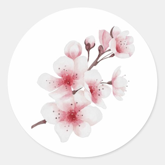 Sticker Rond Conception Okinawa Series 30 (Devant)