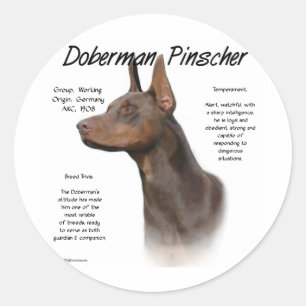 Sticker Rond Conception (rouge) d'histoire de Pinscher de