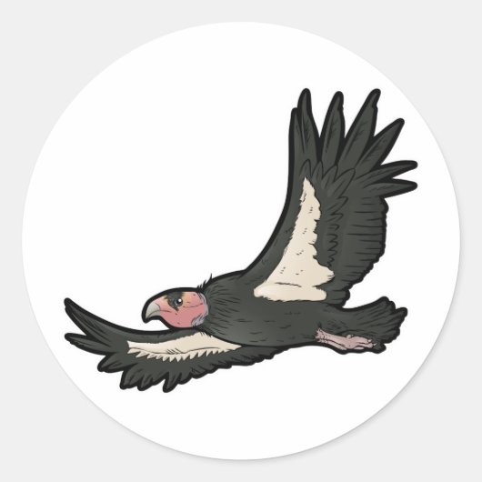 Sticker Rond Condor de Californie (Devant)