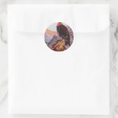 Sticker Rond "Condor de Californie" (Sac)