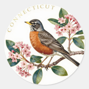Sticker Rond Connecticut Merle Américain Oiseau de l'État Botan