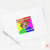 Sticker Rond Conseil Chien (Enveloppe)