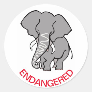 Sticker Rond Conservation ELEPHANT Africain - Sauvez la faune