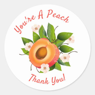 Sticker Rond Conserve de fruits de pêche   Merci enveloppe scel
