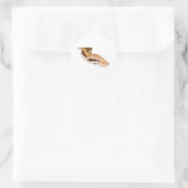 Sticker Rond Constricteur Boa (Sac)