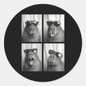 Sticker Rond Cool Capybara With Sungles Photobooth Funny Rodent (Devant)