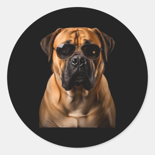 Sticker Rond Cool Dog Sungles Bullmastiff Funny Look  (Devant)