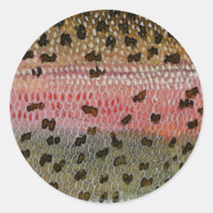 Sticker Rond Copie de peau de poissons de truite arc-en-ciel