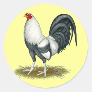 Sticker Rond Coq de combat américain de bleu d'argent de jeu