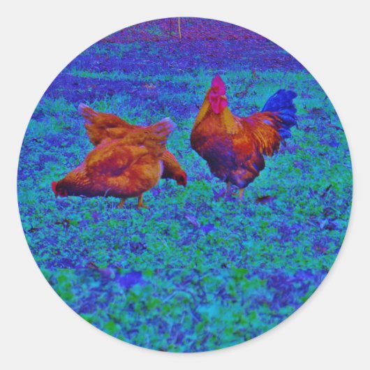 Sticker Rond Coq et poules arc-en-ciel, bleu électrique (Devant)
