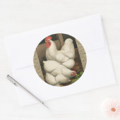 Sticker Rond Coq & Hen à l'extérieur Hen House avec frontière b (Enveloppe)