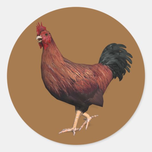 Sticker Rond Coq rouge (Devant)