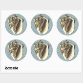 Sticker Rond Coque conique en pierre (Feuille)
