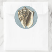 Sticker Rond Coque conique en pierre (Sac)