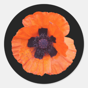 Sticker Rond Coquelicot Orange Rouge