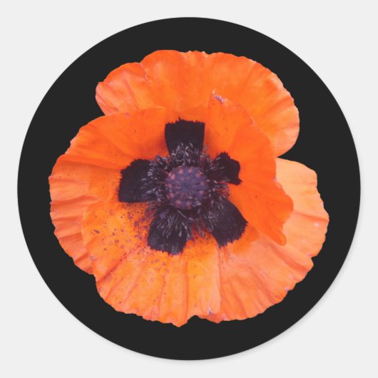 Sticker Rond Coquelicot Orange Rouge (Devant)