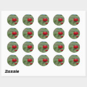 Sticker Rond Coquelicot Rouge Onirique (Feuille)