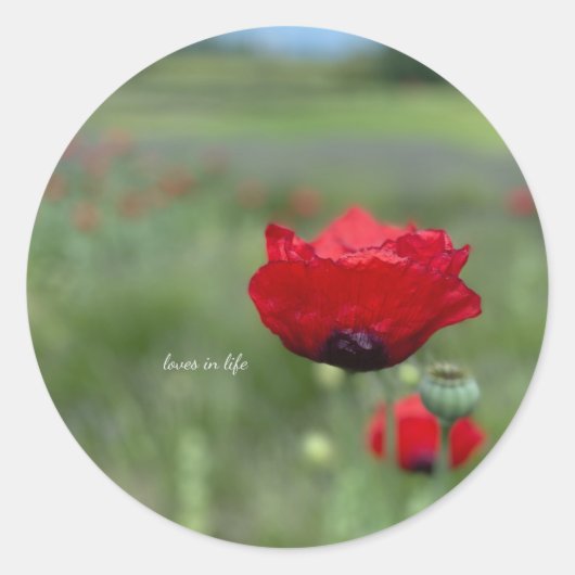 Sticker Rond Coquelicot Rouge Onirique (Devant)
