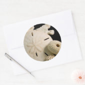 Sticker Rond Coquillages Blancs Et Dollar De Sable (Enveloppe)