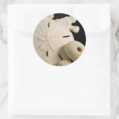 Sticker Rond Coquillages Blancs Et Dollar De Sable (Sac)