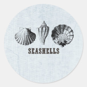 Sticker Rond Coquillages vintages