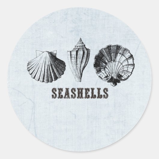 Sticker Rond Coquillages vintages (Devant)
