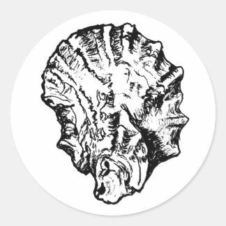 Sticker Rond Coquille d'huîtres noir et blanc