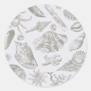 Sticker Rond Coquilles de mer gris sauge doux croquis Antique N