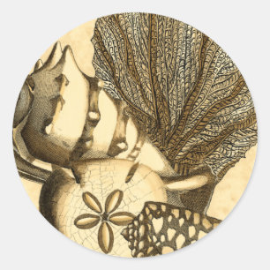 Sticker Rond Coquilles neutres et collection de corail