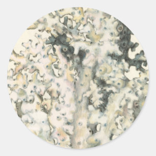 Sticker Rond Corail antique d'aquarelle