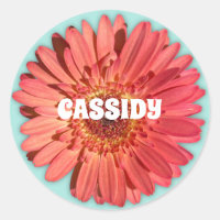 Corail couleur Gerbera Daisy Photo Mint Vert
