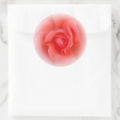 Sticker Rond corail rose rose (Sac)