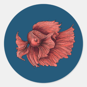 Sticker Rond Coral Siamese combat le poisson