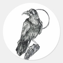 Corbeau Amical
